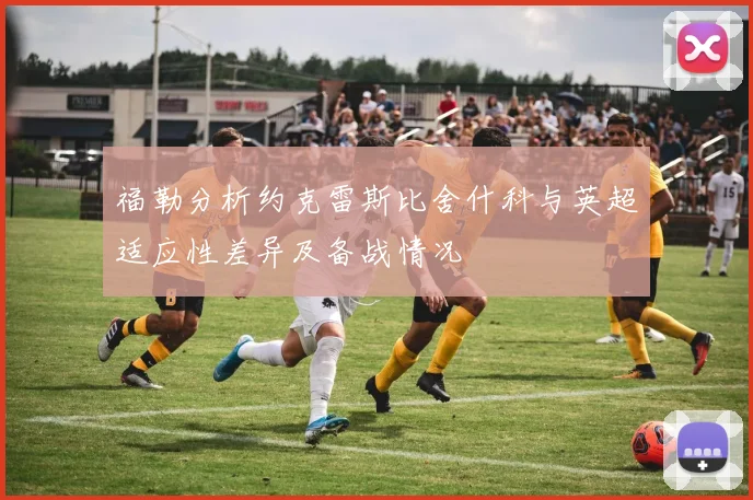 福勒分析约克雷斯比舍什科与英超适应性差异及备战情况